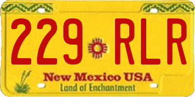 NM license plate 229RLR