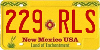 NM license plate 229RLS
