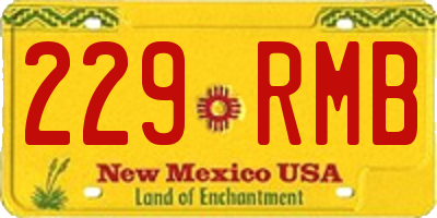 NM license plate 229RMB
