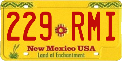 NM license plate 229RMI