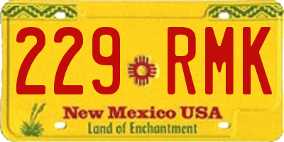 NM license plate 229RMK