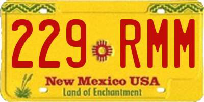 NM license plate 229RMM