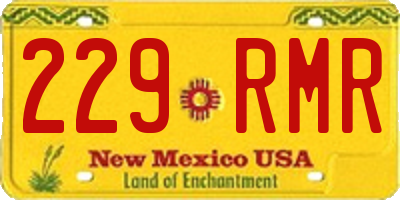 NM license plate 229RMR