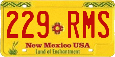 NM license plate 229RMS