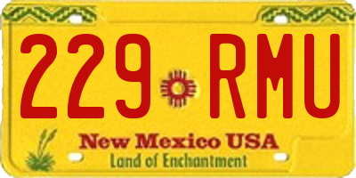 NM license plate 229RMU