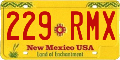 NM license plate 229RMX