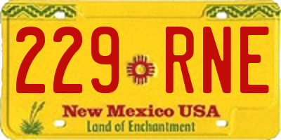 NM license plate 229RNE