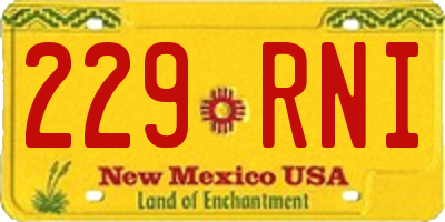 NM license plate 229RNI