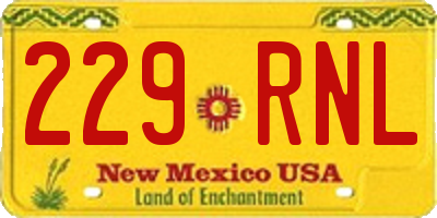 NM license plate 229RNL