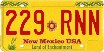 NM license plate 229RNN