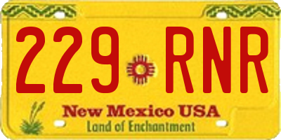 NM license plate 229RNR