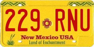 NM license plate 229RNU