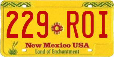 NM license plate 229ROI