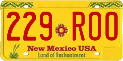 NM license plate 229ROO