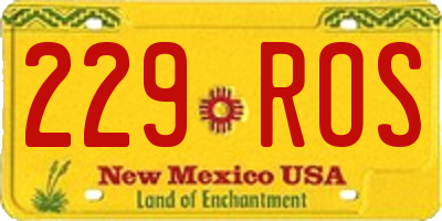 NM license plate 229ROS