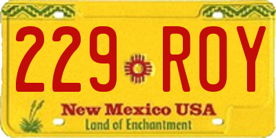 NM license plate 229ROY