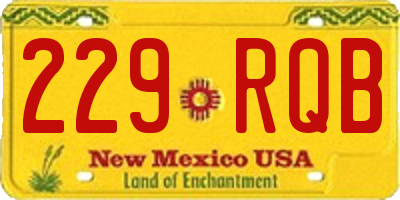 NM license plate 229RQB