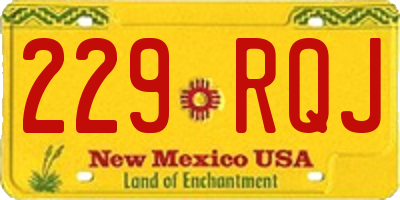 NM license plate 229RQJ
