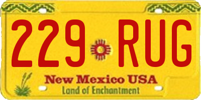 NM license plate 229RUG