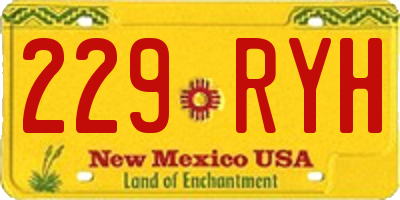 NM license plate 229RYH