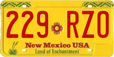 NM license plate 229RZO