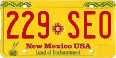 NM license plate 229SEO