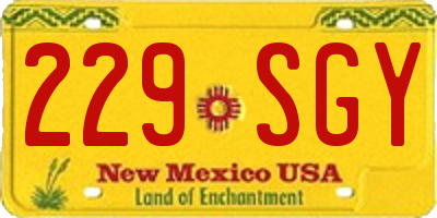 NM license plate 229SGY