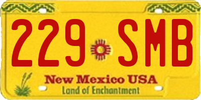 NM license plate 229SMB