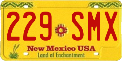 NM license plate 229SMX