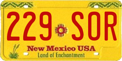 NM license plate 229SOR