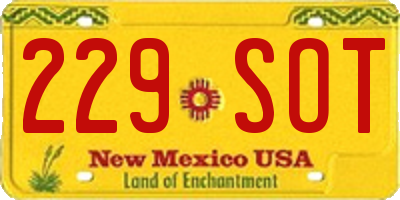 NM license plate 229SOT