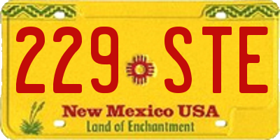NM license plate 229STE