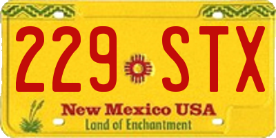 NM license plate 229STX