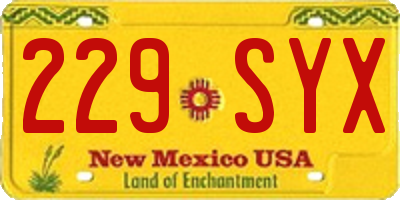 NM license plate 229SYX