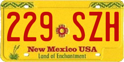 NM license plate 229SZH