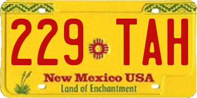 NM license plate 229TAH