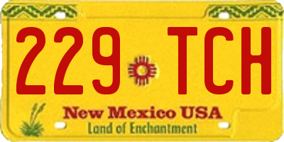 NM license plate 229TCH