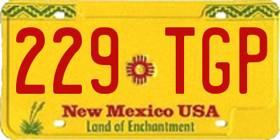 NM license plate 229TGP