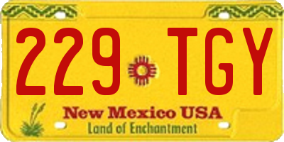 NM license plate 229TGY