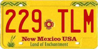 NM license plate 229TLM