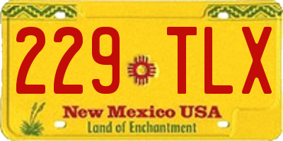 NM license plate 229TLX