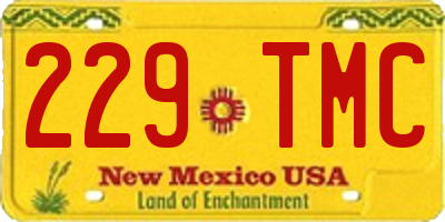 NM license plate 229TMC