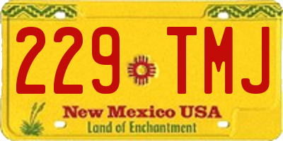 NM license plate 229TMJ