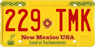 NM license plate 229TMK