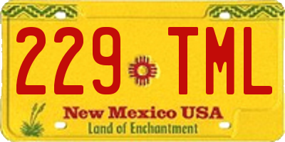 NM license plate 229TML