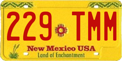 NM license plate 229TMM
