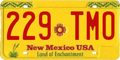 NM license plate 229TMO