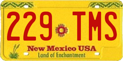 NM license plate 229TMS