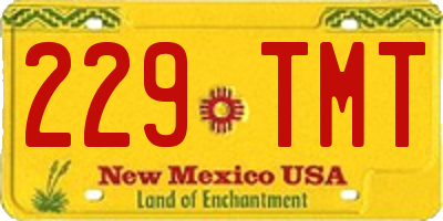 NM license plate 229TMT