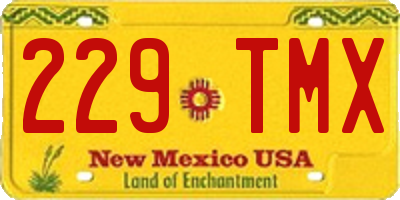 NM license plate 229TMX